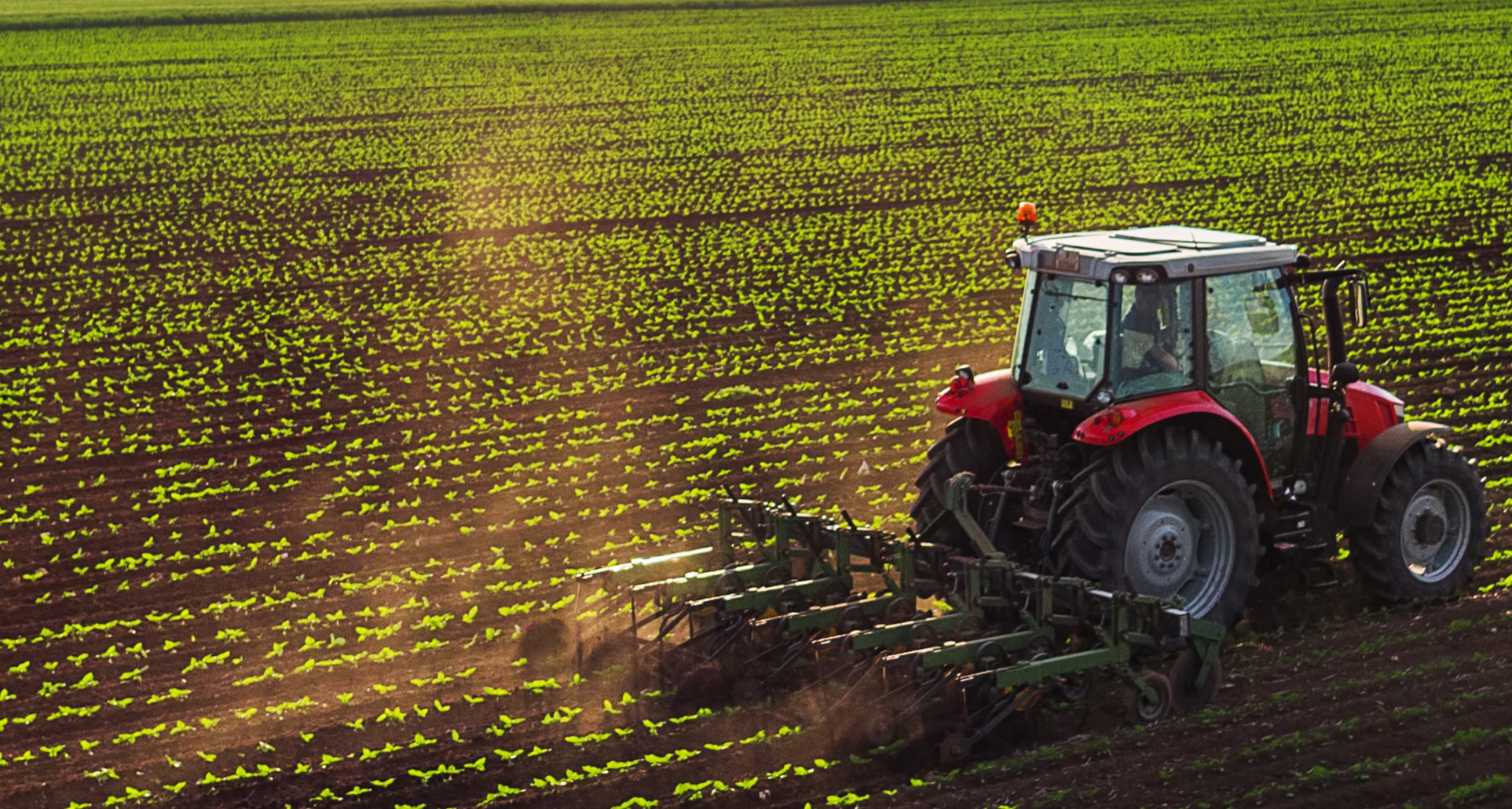 photo qui représente l'agriculture